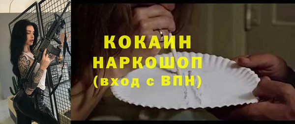 индика Касимов