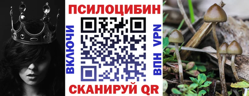 Псилоцибиновые грибы MAGIC MUSHROOMS  сколько стоит  Междуреченск 